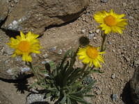 IMG_2471.JPG