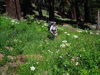 IMG_2557.JPG