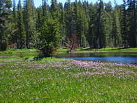 IMG_2571.JPG