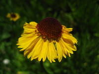IMG_2626.JPG