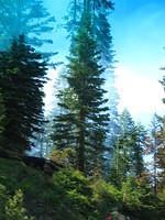 IMG_2660.JPG