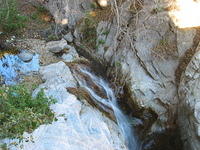 155-5501_IMG.JPG