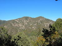 155-5513_IMG.JPG