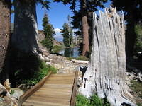 IMG_2849.JPG