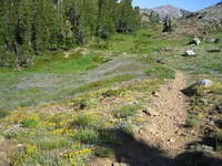 IMG_2856.JPG