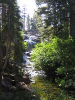 IMG_2863.JPG