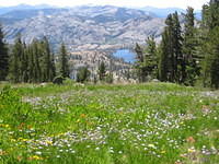IMG_2915.JPG