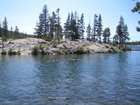 Swimming in Middle Velma Lake