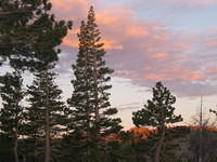 IMG_2963.JPG