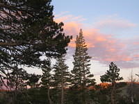 IMG_2964.JPG