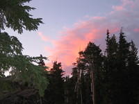 IMG_2970.JPG