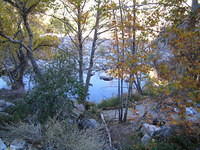 IMG_0773.jpg