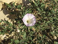 IMG_0782.jpg