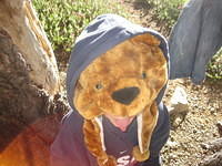 IMG_0222.JPG