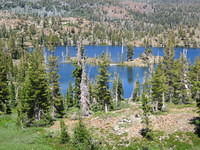 IMG_1705.jpg