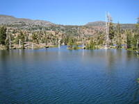 IMG_1706.jpg