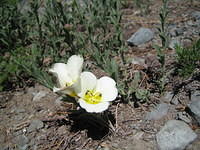 IMG_1724.jpg