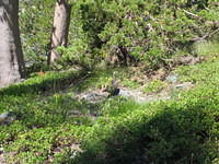 IMG_1728.jpg