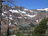 IMG_1731.jpg