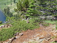 IMG_1733.jpg