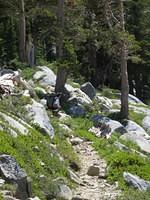 IMG_1746.jpg