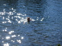 IMG_1758.jpg