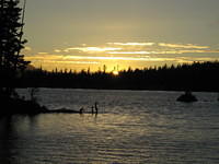 IMG_1768.jpg