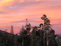 IMG_1773.jpg