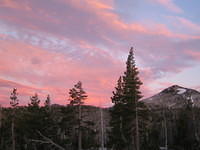 IMG_1774.jpg