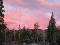 IMG_1775.jpg
