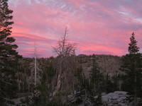 IMG_1778.jpg