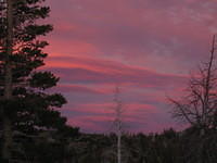IMG_1779.jpg