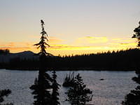 IMG_1781.jpg