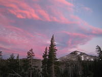 IMG_1782.jpg