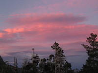 IMG_1783.jpg