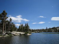 IMG_1793.jpg