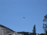 IMG_1795.jpg