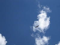 IMG_1801.jpg
