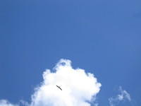 IMG_1802.jpg