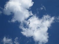 IMG_1803.jpg