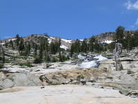 IMG_1804.jpg