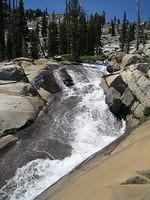 IMG_1805.jpg