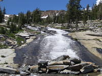 IMG_1807.jpg