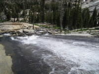 IMG_1814.jpg