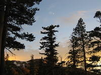 IMG_1828.jpg