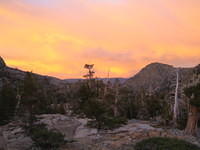IMG_1833.jpg