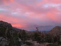 IMG_1840.jpg