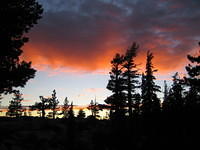 IMG_1841.jpg