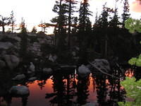 IMG_1842.jpg