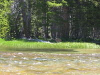 IMG_5911.jpg